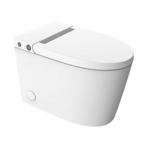 ENC2167W-3 Intelligent One-Piece Toilet