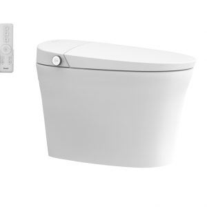 NC2181W-3B Intelligent One-Piece Toilet